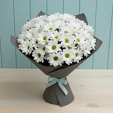 Букет цветов из:  Хризантемы в Ковылкино