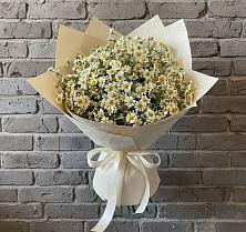 Букет цветов из:  Ромашки #REPLACE_PRED# Ковылкино