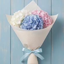 Букет цветов из:  Гортензия в Ковылкино