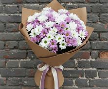 Букет цветов из:  Хризантемы в Ковылкино