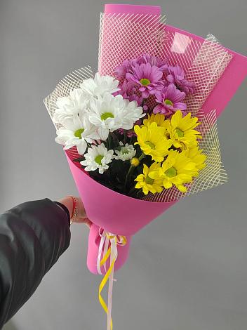 Букет цветов из: Хризантемы в Ковылкино