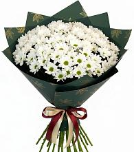 Букет цветов из:  Хризантемы в Ковылкино