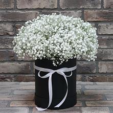 Цветочная композиция из Гипсофила в шляпной коробке #REPLACE_PRED# Ковылкино