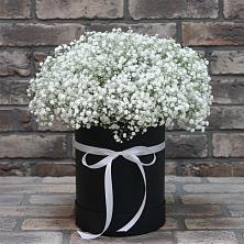 Цветочная композиция из Гипсофила в шляпной коробке в Ковылкино