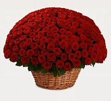 Премиум букет из: Розы в Ковылкино