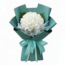 Букет цветов из:  Гортензия в Ковылкино
